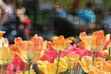 OK jigsaw puzzle