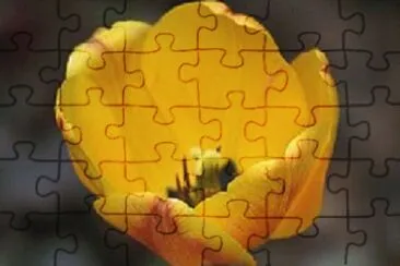 OK jigsaw puzzle