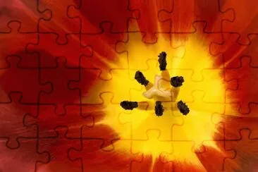 OK jigsaw puzzle
