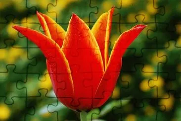 OK jigsaw puzzle