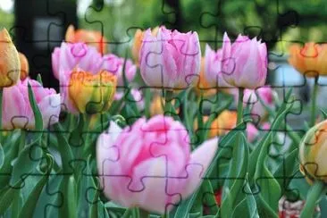 OK jigsaw puzzle