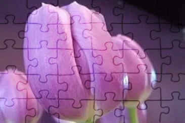 OK jigsaw puzzle
