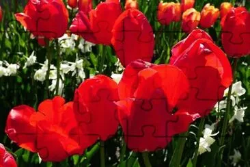 OK jigsaw puzzle