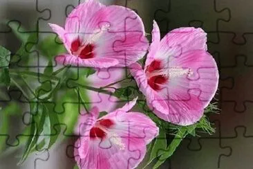 OK jigsaw puzzle
