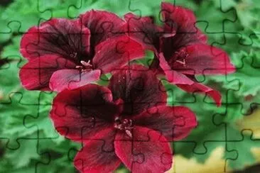 OK jigsaw puzzle