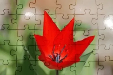 OK jigsaw puzzle