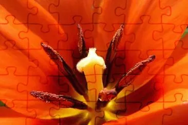 OK jigsaw puzzle