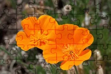 OK jigsaw puzzle