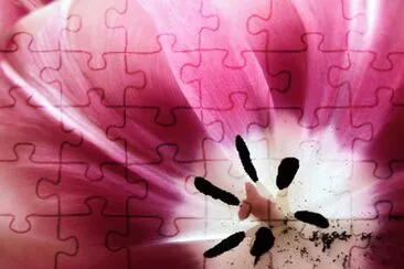 OK jigsaw puzzle