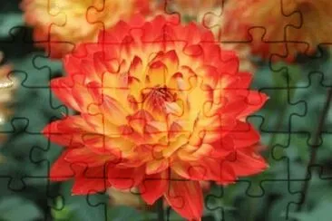 OK jigsaw puzzle