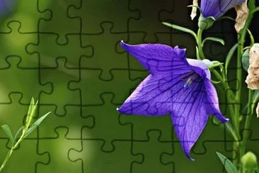 OK jigsaw puzzle