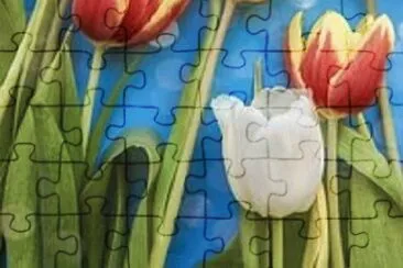 OK jigsaw puzzle