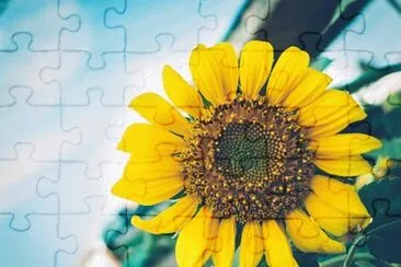 OK jigsaw puzzle