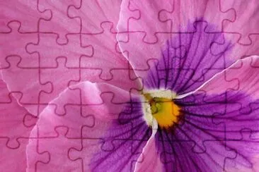 OK jigsaw puzzle