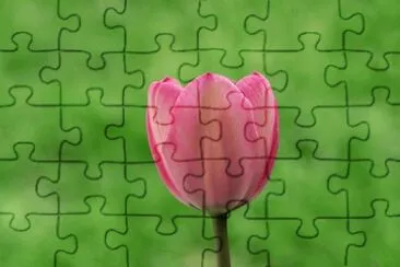 OK jigsaw puzzle
