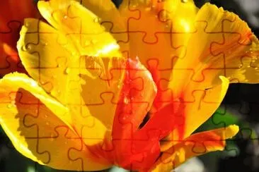 OK jigsaw puzzle