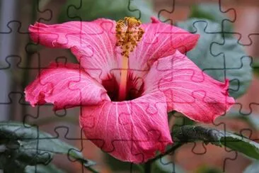 OK jigsaw puzzle