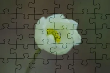 OK