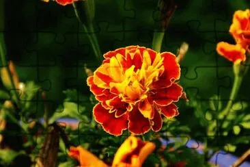  jigsaw puzzle