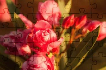  jigsaw puzzle