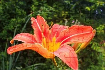 OK jigsaw puzzle