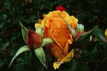 OK jigsaw puzzle