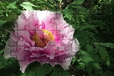 OK jigsaw puzzle