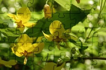 OK jigsaw puzzle