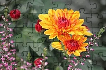 OK jigsaw puzzle
