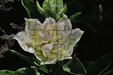 OK jigsaw puzzle