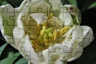 OK jigsaw puzzle