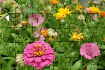 OK jigsaw puzzle