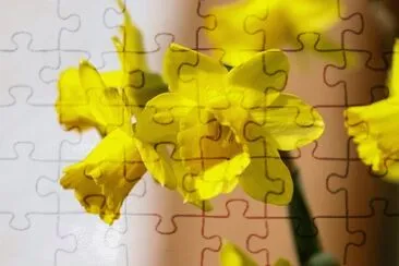OK jigsaw puzzle