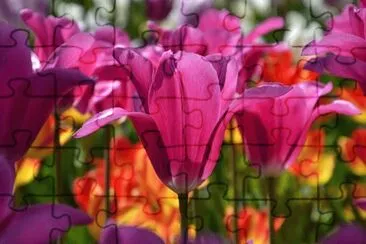 OK jigsaw puzzle