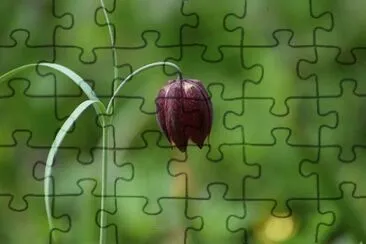 OK jigsaw puzzle