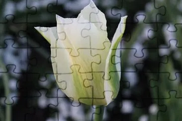 OK jigsaw puzzle