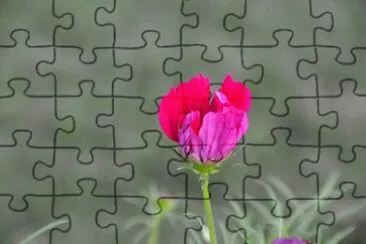 OK jigsaw puzzle