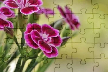 OK jigsaw puzzle