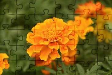OK jigsaw puzzle