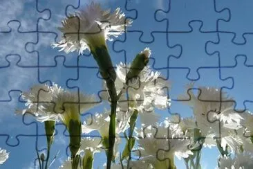 OK