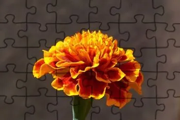 OK jigsaw puzzle