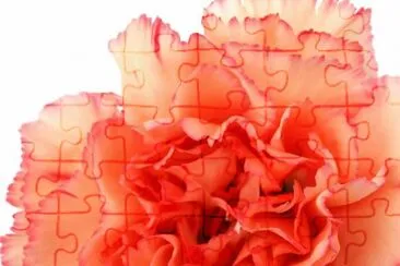 OK jigsaw puzzle