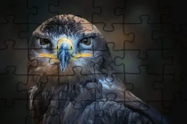 Foto jigsaw puzzle
