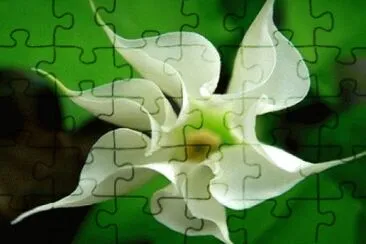 296