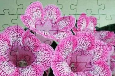  jigsaw puzzle