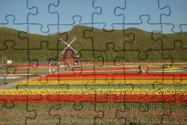 OK jigsaw puzzle