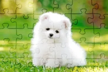 337 jigsaw puzzle