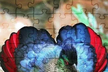 Foto jigsaw puzzle