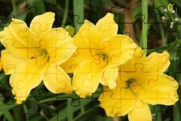 OK jigsaw puzzle