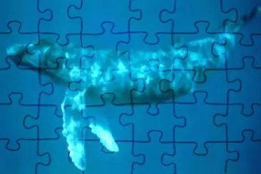 Foto jigsaw puzzle